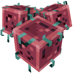 Blast Fungus